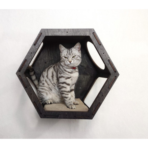 Игровой комплекс настенный лежанка и домик из дерева для кошки