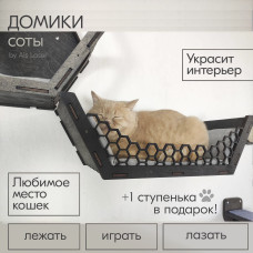 Домик для кошки с лежаком  Деревянный  Настенный игровой комплекс