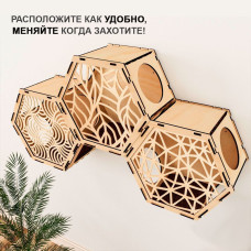 Домики настенные Соты для кошек из дерева  3 шт закрытые с узорами без цвета  Игровые комплексы для животных