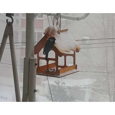 Kopмушка для птиц Домик с окошками 17х14х12см  Деревянная подвесная  ZOO HOUSE - домики для зверюшек