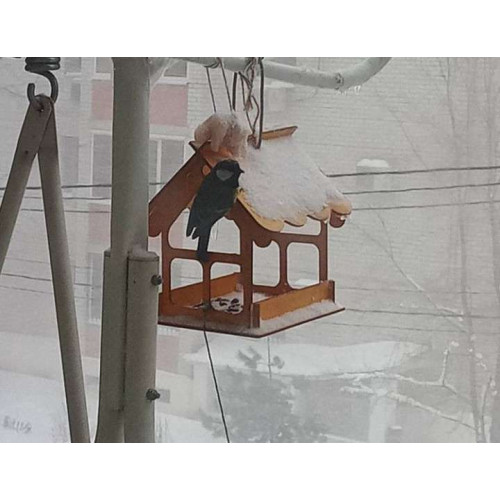 Kopмушка для птиц Домик с окошками 17х14х12см  Деревянная подвесная  ZOO HOUSE - домики для зверюшек