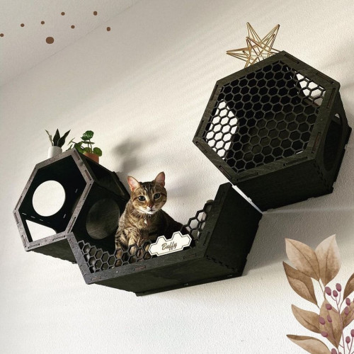 Игровой комплекс настенный лежанка и домик из дерева для кошки