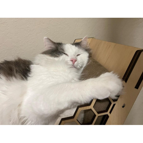Игровой комплекс настенный лежанка и домик из дерева для кошки