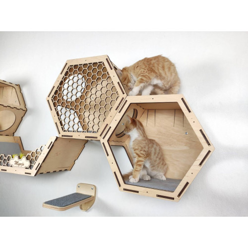 Игровой комплекс настенный лежанка и домик из дерева для кошки
