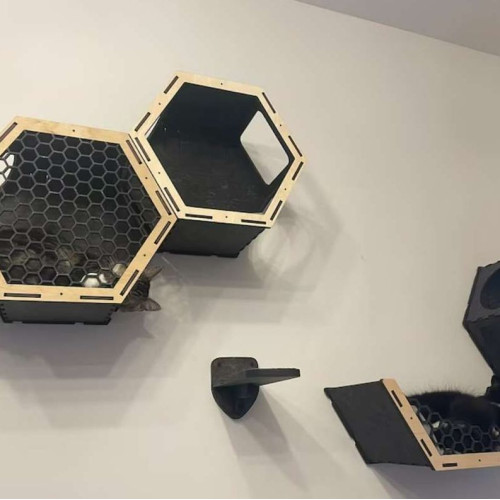 Игровой комплекс настенный лежанка и домик из дерева для кошки