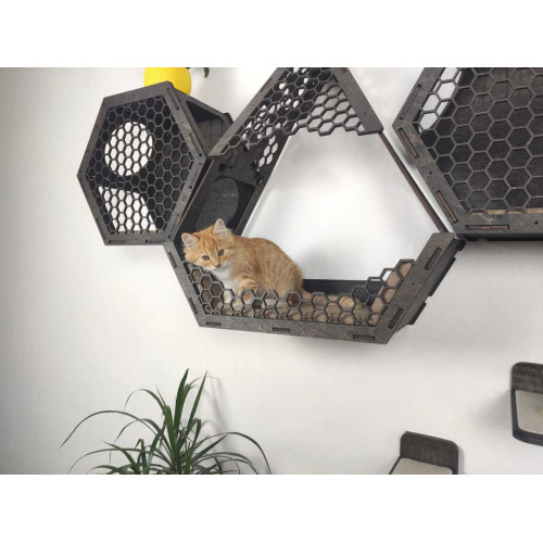 Игровой комплекс настенный лежанка и домик из дерева для кошки