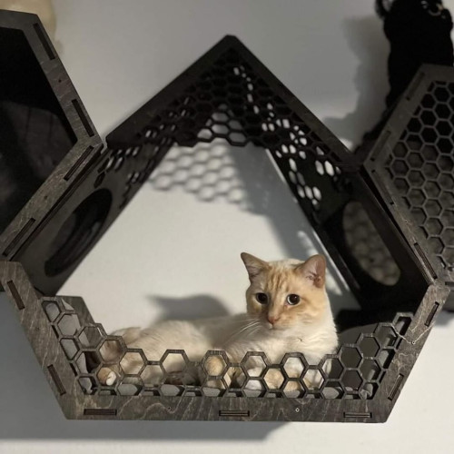 Игровой комплекс настенный лежанка и домик из дерева для кошки