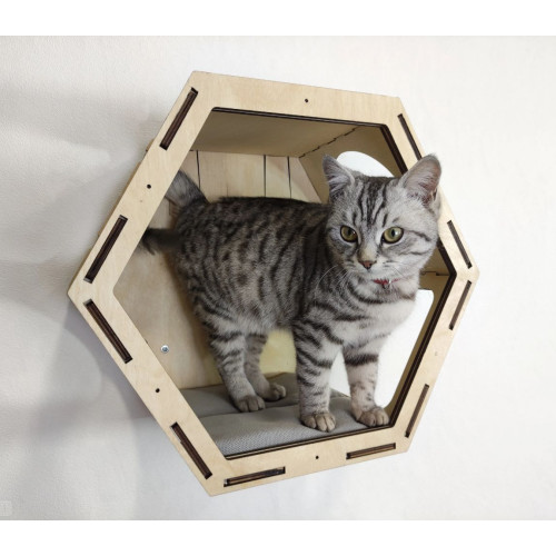 Игровой комплекс настенный лежанка и домик из дерева для кошки