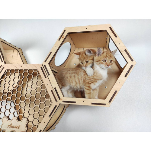 Игровой комплекс настенный лежанка и домик из дерева для кошки