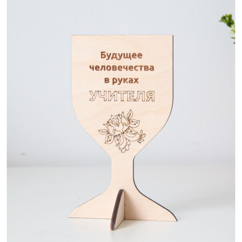 Медаль подарок на день учителя глобус классному руководителю