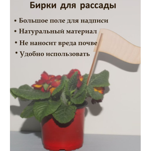 Ярлык метки для рассады табличка для цветов экологичная и био разлагаемая 
