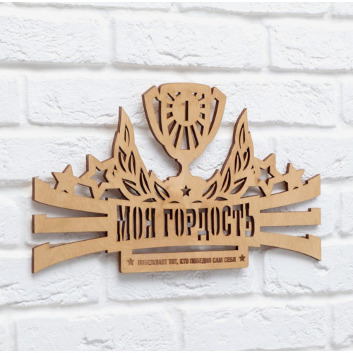 Медальница Моя гордость